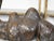 French Turn of the Century Cast Bronze Camel Statuette with Dark Patina, 1900s For Sale - Image 9 of 10