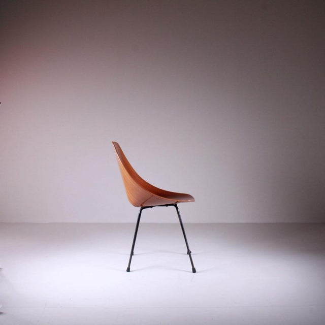 Medea Chairs by Vittorio Nobili for Fratelli Tagliabue, 1960s, Set of 10 For Sale - Image 5 of 8