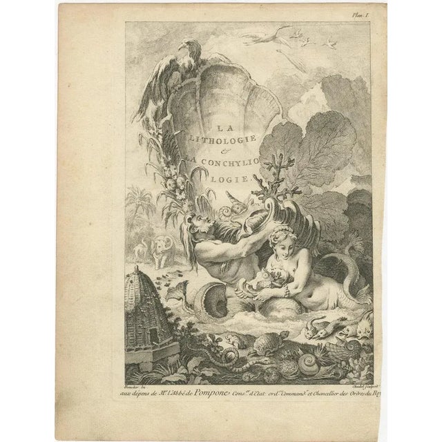 Title: Allegorical Print of Lithology and Conchology by Boucher Fils, 18th Century : This exquisite 18th-century...