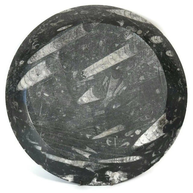 Carved from a single slab of richly veined black marble, this antique fossil platter reveals beautifully preserved...