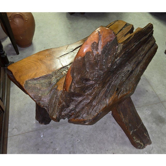 1920s 20th Century Bench in Olive Wood and Driftwood, Asia, 1920s For Sale - Image 5 of 9