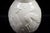 Art Deco White Glazed Earthenware Vase with Relief Decor by Fantaisie de Charles Catteau for Boch Frères La Louvière Keramis, 1920s For Sale - Image 11 of 13