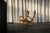 The Model 572 rocking chair stands as a rare and refined example of Italian furniture design from the mid-1950s, embodying...