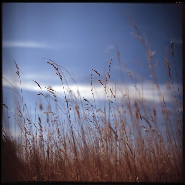 Fine art Giclee prints on Hahnemuhle Photo Rag 308gsm - a 100% cotton, acid-free, mould-made paper. Printed to Fine Art...