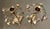 Mottahedeh Circa 1970 Mottahedeh Brass Pear Tree Candlestick Holders - A Pair For Sale - Image 4 of 18