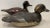 Decoys "Mason Blue Bill" and "Dave" Circa 1900 and 1984 - a Pair For Sale - Image 4 of 8
