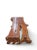 Organic Modern One Slab Lychee Burl Coffee Table For Sale - Image 9 of 12