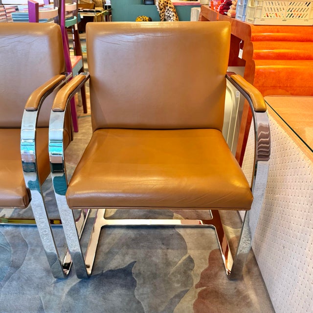 Mies Van der Rohe Vintage Set of 4 Brno Chairs by Mies Van Der Rohe For Sale - Image 4 of 12