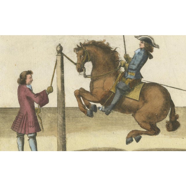William Cavendish, Levade Horse Training, 1700s, Engraving For Sale - Image 8 of 12