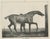 After Chalon, Muly Moloch Sporting Horse, Lithograph, 1840 For Sale - Image 9 of 9