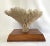 Vintage 1960s table coral specimen. Piece is mounted on Koa wood base.