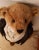 Late 20th Century Steiff Collectible Teddy Bear-Groom For Sale - Image 9 of 12