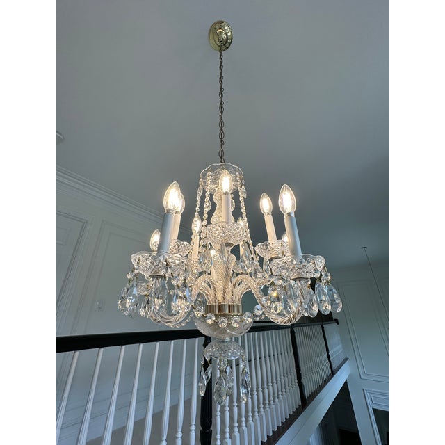 2020s Crystorama Chandelier With 8 Lights, Crystal Accents and Polished Brass Finish For Sale - Image 5 of 11