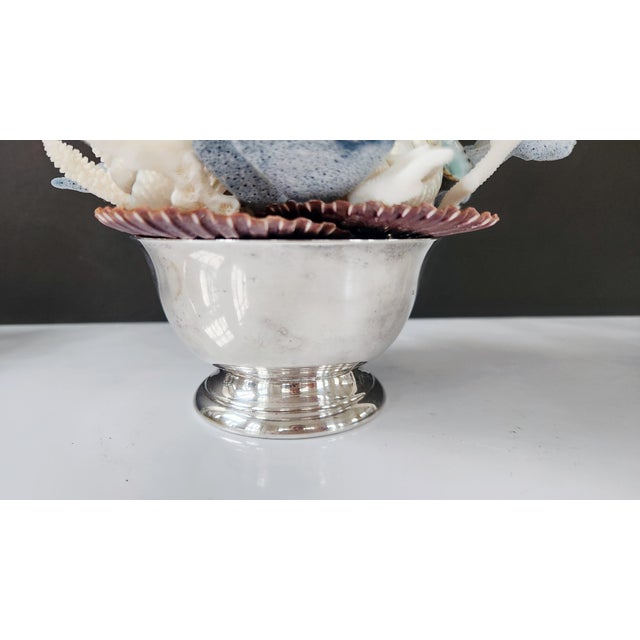 Handmade Coastal Seashell Sculpture – Seashell & Blue Ridge Coral Arrangement For Sale - Image 9 of 15