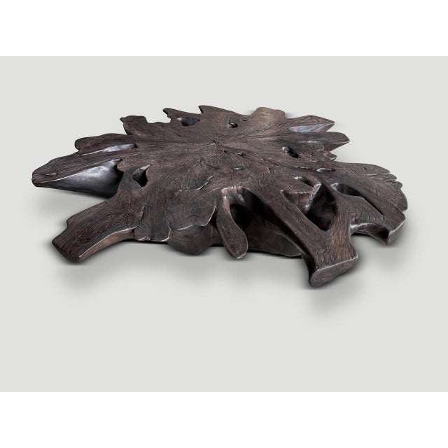 Wood Andrianna Shamaris Impressive Sculptural Teak Wood Root Coffee Table For Sale - Image 7 of 18