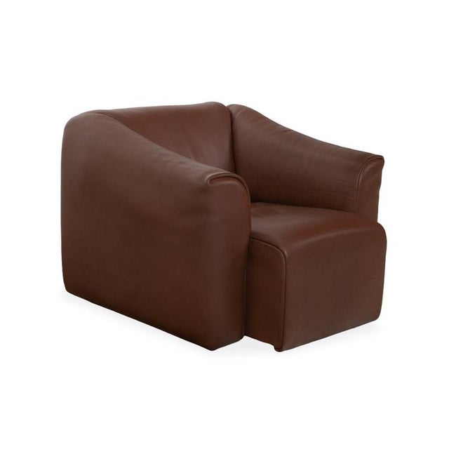 DS-47 Lounge Chair in Brown Leather from de Sede For Sale - Image 4 of 14