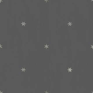 Sample - Etoiles Wallpaper by Paule Marrot in Gray For Sale