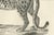 Leopard in Standing Pose, 1836, Lithograph For Sale - Image 4 of 5