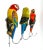 Whimsical and charming set of three tropical birds made of resin in the 1990's and modified to be wall hooks. Great...