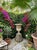Neo-Classical Style Cast Stone Garden Urn on Pedestal With Bacchanalian Relief For Sale - Image 10 of 10
