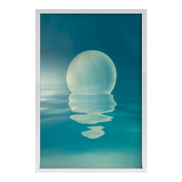 Lone by Mallory Morrison Print with White Frame - 40 X 60 For Sale