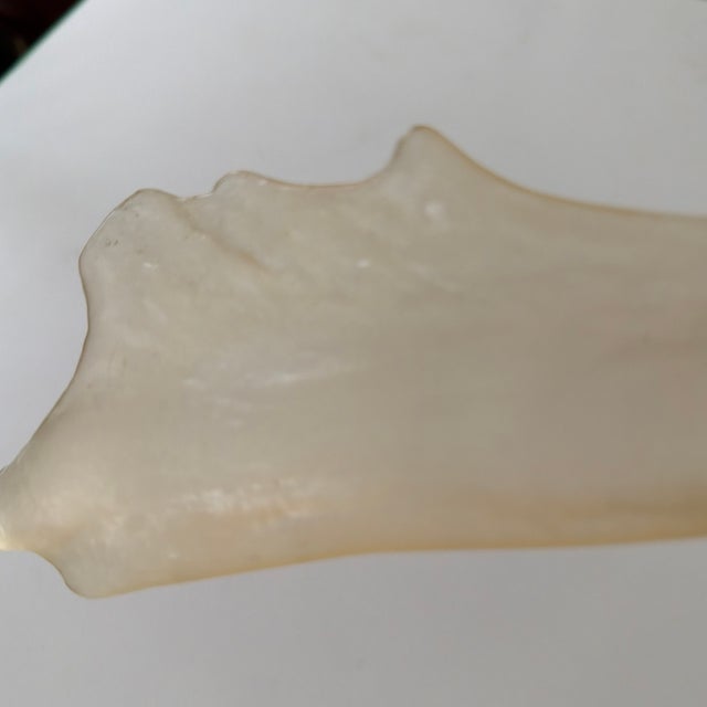Amber Faux Translucent Amber Deer Antler For Sale - Image 8 of 8