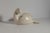 Beswick Dove Vase in Ivory and Ceramic attributed to Kathi Urbach, England, 1950s For Sale - Image 4 of 11
