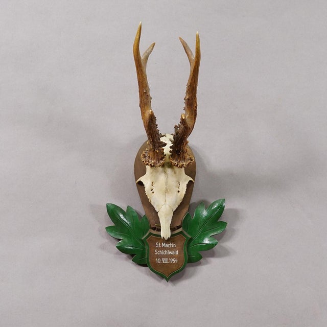 Rustic European Great Black Forest Red Deer Trophy on Carved Plaque - Germany 1954 For Sale - Image 3 of 6