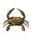 Figurative Cast Bronze Crab Sculpture — Sculptural Coastal Form in Polished Patina For Sale - Image 3 of 7