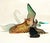 Large Swan Sculpture by Abraham Palatnik, 1960s For Sale - Image 12 of 13