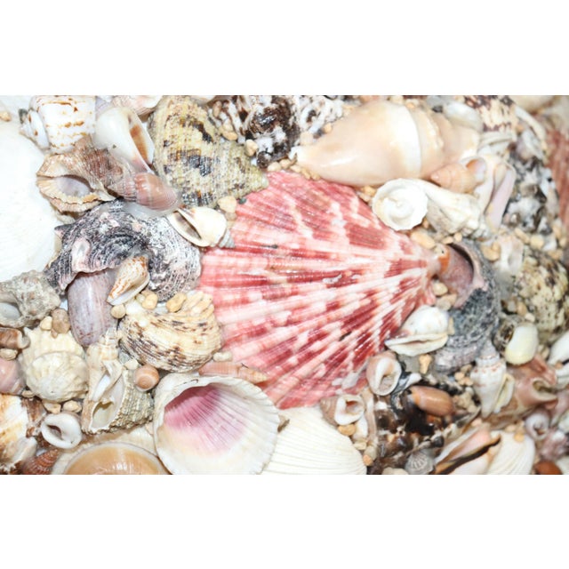 Orange Mid-Century Modern Shell Encrusted Sculpture on Edgar Brandt Style Stand For Sale - Image 8 of 10