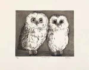 "Saw-Whet Owls" Etching by Christine McGinnis, Printed by David Lynch, Ca. 1970