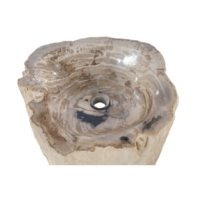 Contemporary Freestanding Petrified Wood Water Basin by Xyleia Petrified Wood For Sale - Image 3 of 8