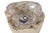 Contemporary Freestanding Petrified Wood Water Basin by Xyleia Petrified Wood For Sale - Image 3 of 8