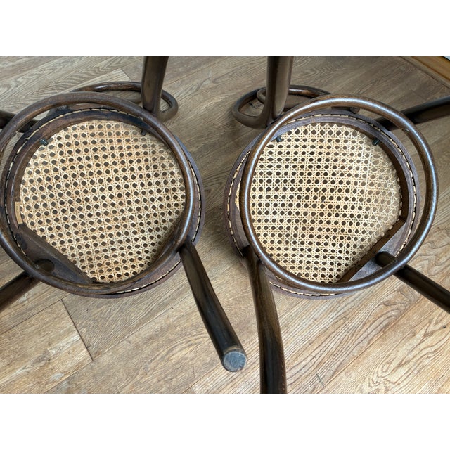 Wood Vintage No. 18 Chairs by ZPM Radomsko for Thonet, 1970s, Set of 2 For Sale - Image 7 of 9
