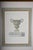 Louis XIV Style Vase, Versailles Neptune Basin, Lithograph, 1960s, Framed For Sale - Image 11 of 14