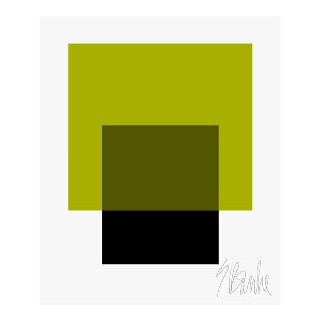 The Interaction of Black and Leaf Green Fine Art Print 40" X 50" by Liz Roache For Sale