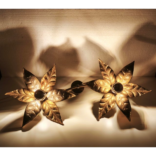 Vintage Brass Flower Wall Lamp by Willy Daro for Massive, Belgium, 1970s For Sale - Image 11 of 18