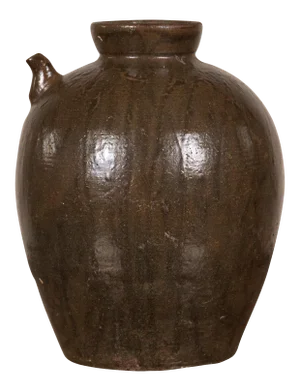 Chinese Qing Dynasty Glazed Water Jug with Petite Spout from the 19th Century