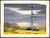Unframed realistic serigraph/silkscreen art print of clouds and oil machinery on a field of yellow flowers. A hawk flies...