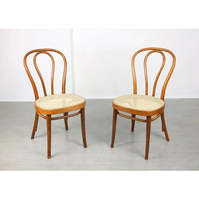 Set of Vintage No. 218 Dining Chairs by Michael Thonet For Sale - Image 13 of 13