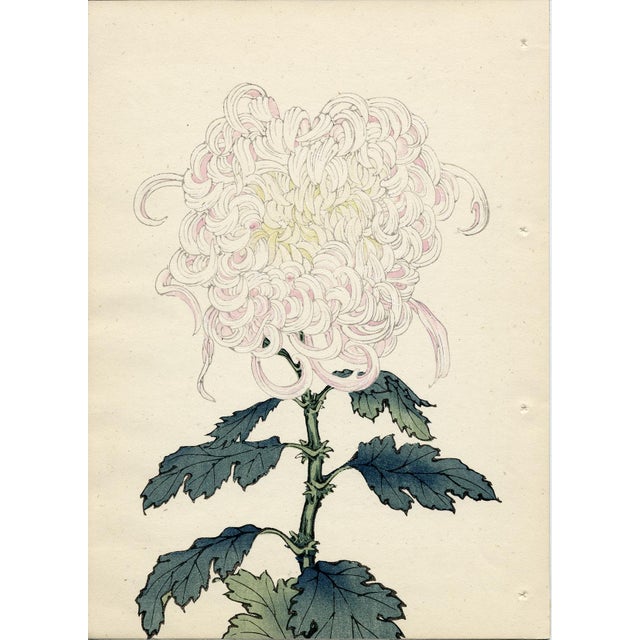 Original Hand-Colored Hasegawa Wood Block Print (3) | Chairish