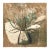 Lali Lomtadze Mixed Media Plant Still Life For Sale
