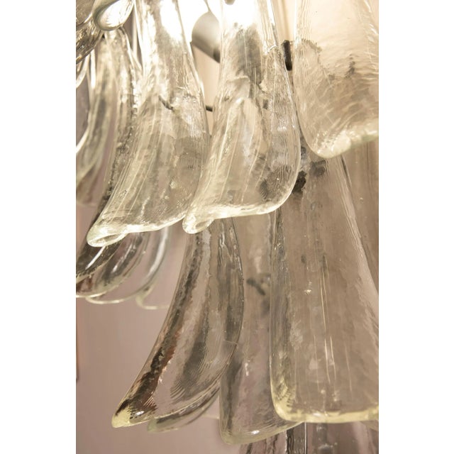 Wall Light in Transparent Glass Petals from Venini, 1970s For Sale - Image 9 of 12