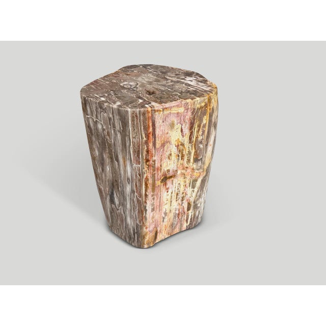 Contemporary Andrianna Shamaris Coral Toned High Quality Petrified Wood Side Table For Sale - Image 3 of 5