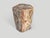 Contemporary Andrianna Shamaris Coral Toned High Quality Petrified Wood Side Table For Sale - Image 3 of 5