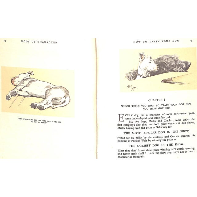 "Dogs of Character" Book 1927 Aldin, Cecil For Sale - Image 10 of 12