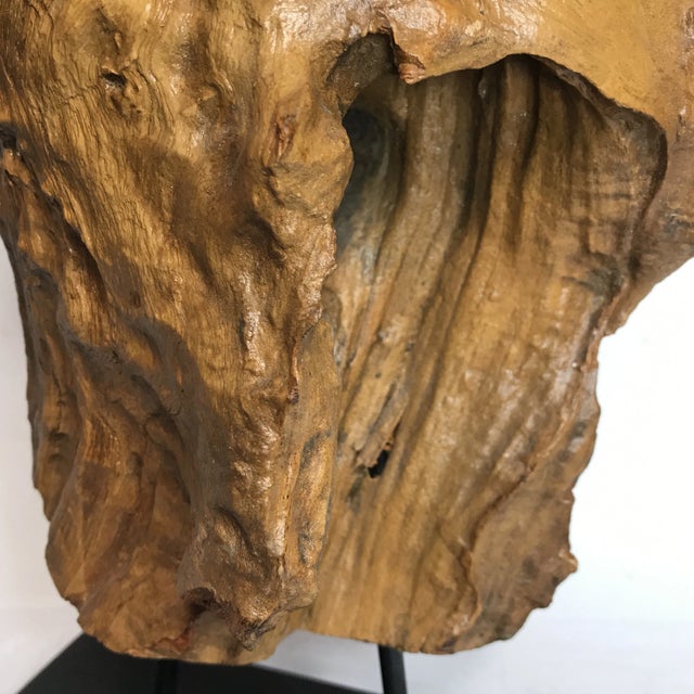 Driftwood Adornment Decor For Sale - Image 4 of 7