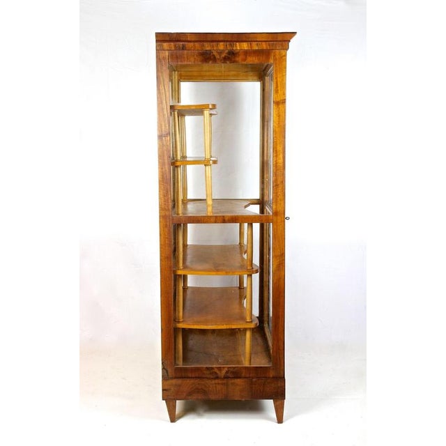 19th Century Biedermeier Display Cabinet in Vitrine and Nutwood, Austria, 1840 For Sale - Image 11 of 17