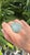Set in 18k Gold, 13.39 Carats Carved Aquamarine, Emerald & Diamond Cocktail Ring, Us Size 6 For Sale - Image 10 of 10
